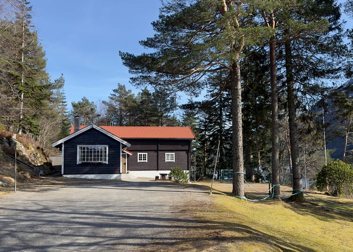 Innkjørsel og mørk trehytte mellom furutre