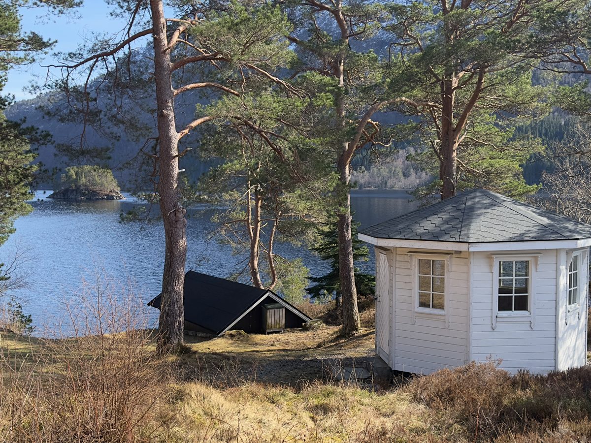 Uteområde ved vatnet med små bygg mellom furutre
