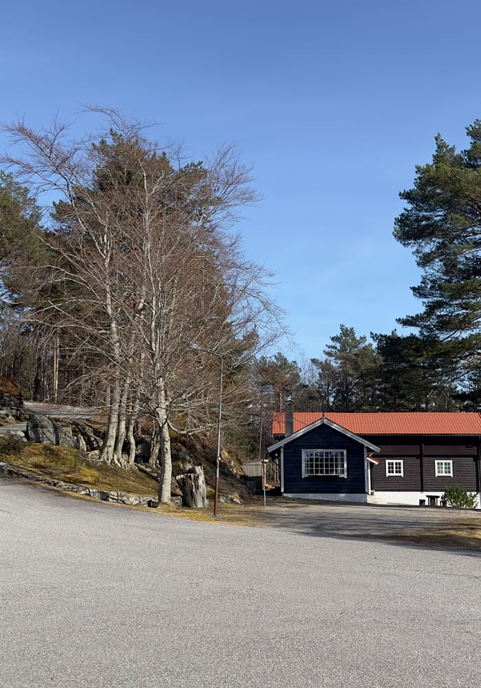 Veg gjennom området med trehytte og skog