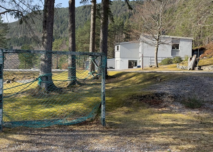 Grønt uteområde med aktivitetssoner mellom trea